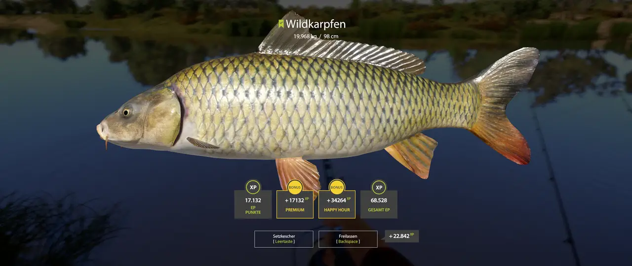 Wie ich gestern im Stream gesagt habe 