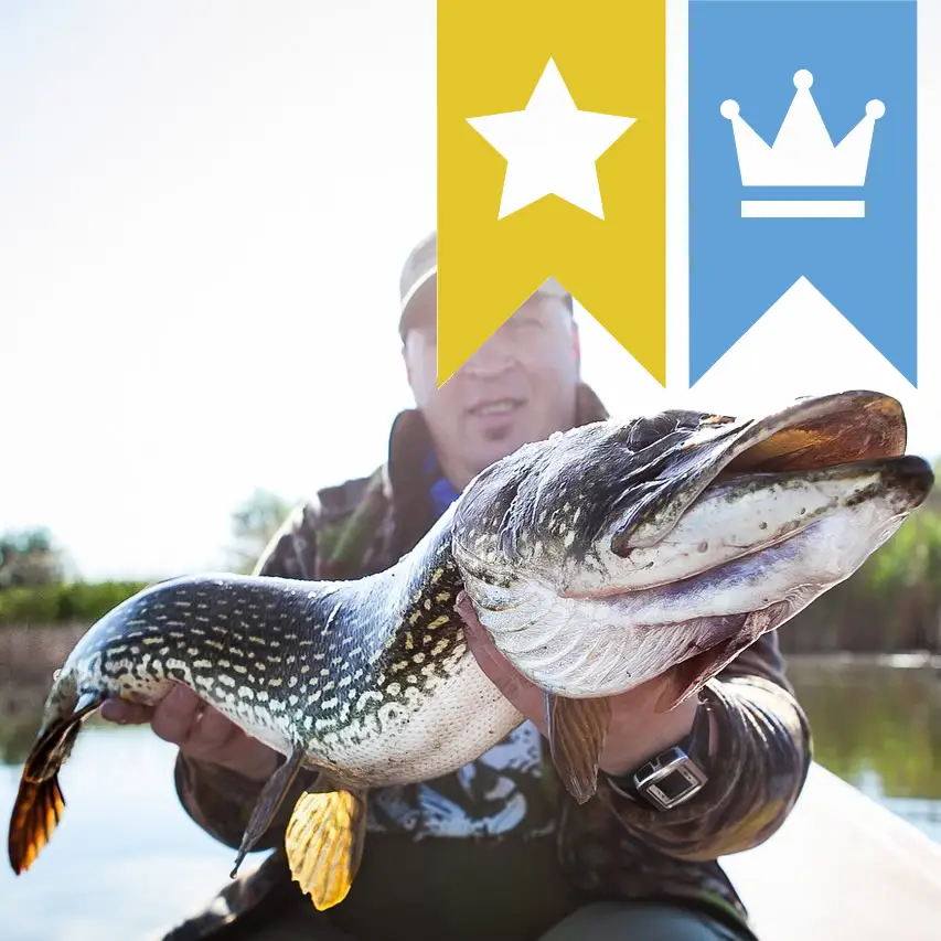 Troph&auml;en-Gewichte