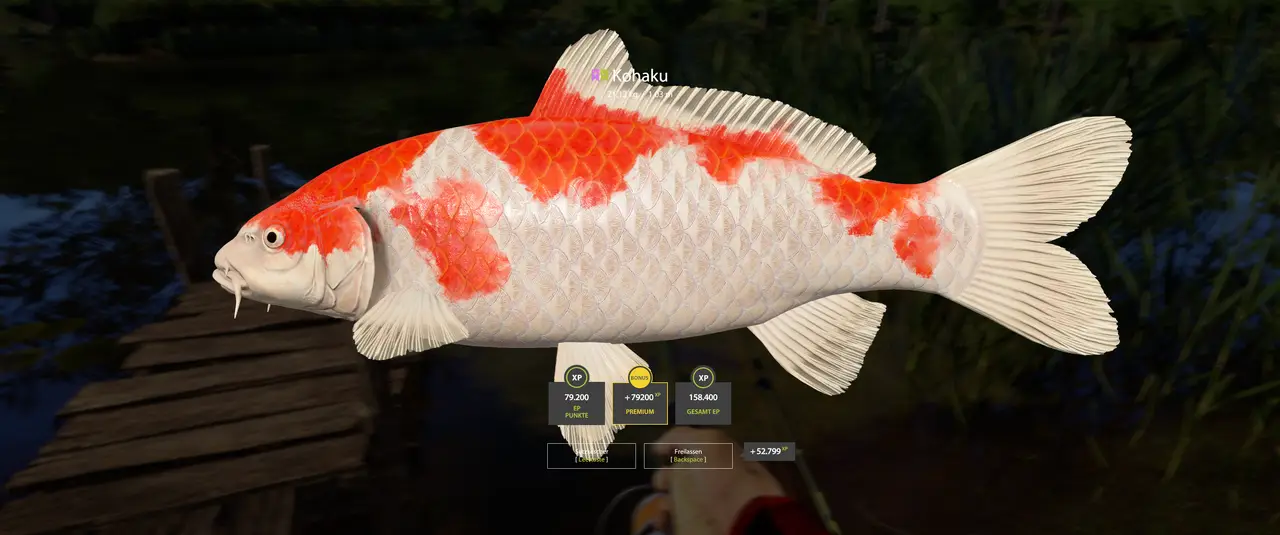 Das "Experiment Kupfersee" geht weiter... 😎