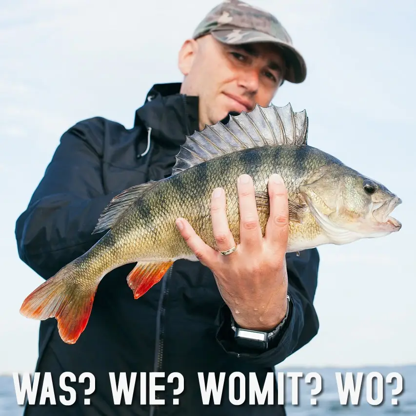 &Uuml;ber Deine Zielfische