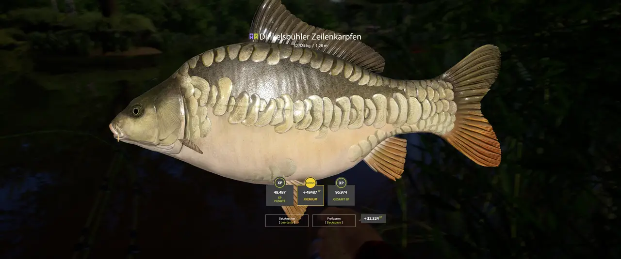 Schon recht nah dran.... 😎