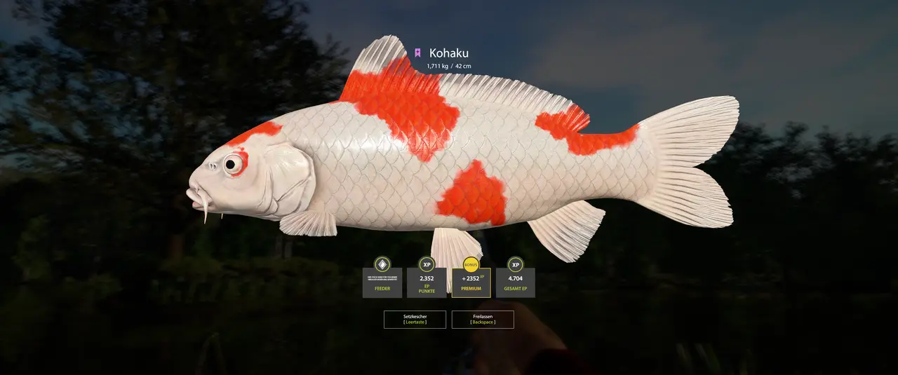 Mein erster Fisch am Kupfersee... 😎